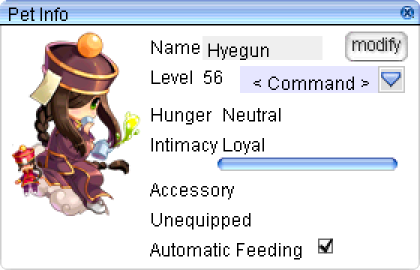 Auto-feed option in the pet window
