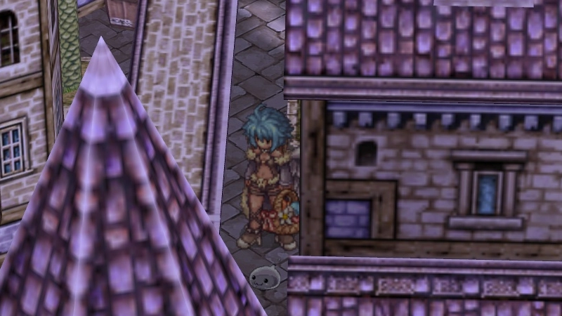 The Poring Journal