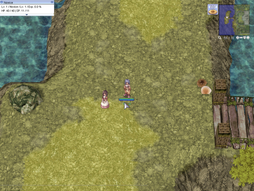 Entering Novice Grounds